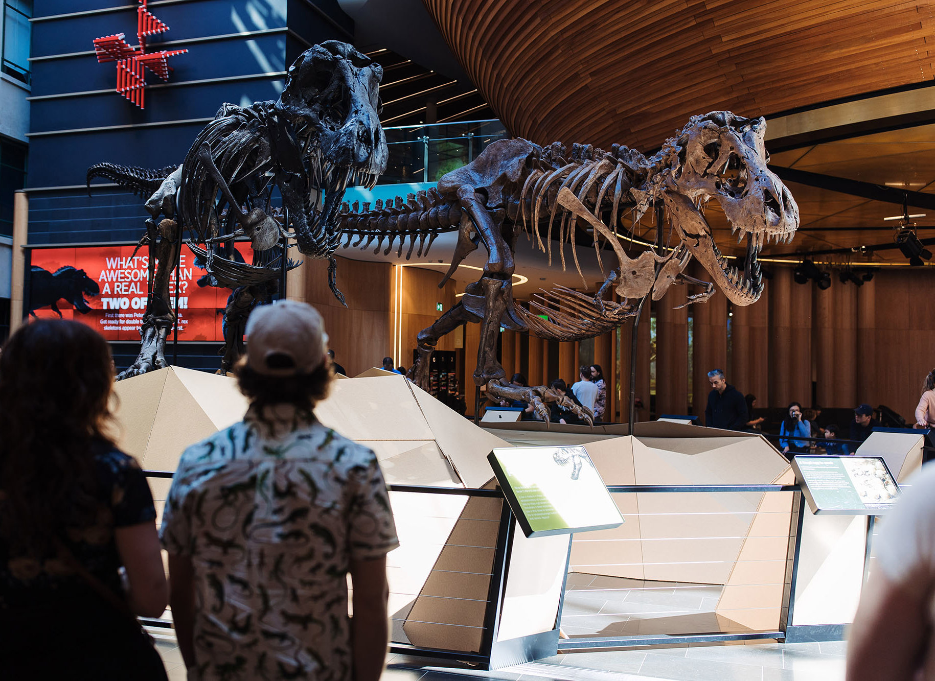Discover Unforgettable Family Adventures At Edmonton's Family Day Extravaganza